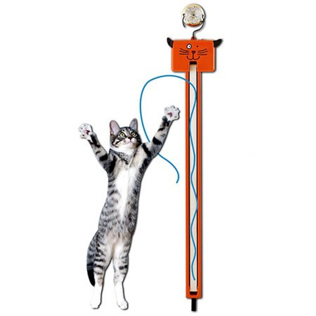hanging cat toys
