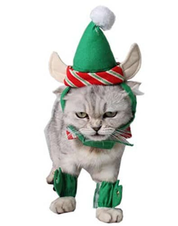 cat elf costume